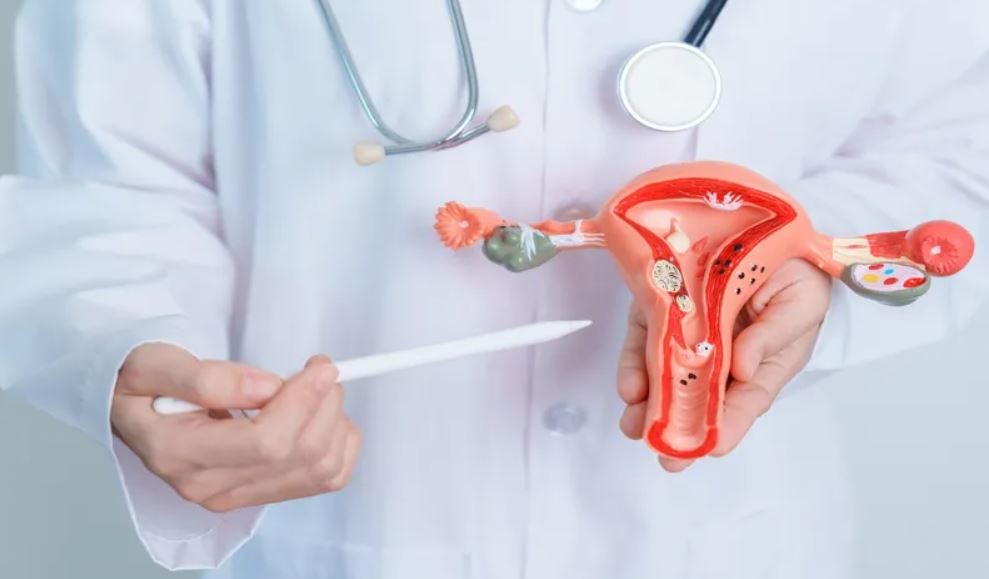 Genital Siğil Bulaşma Yolları